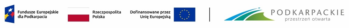 obraz4.jpg
